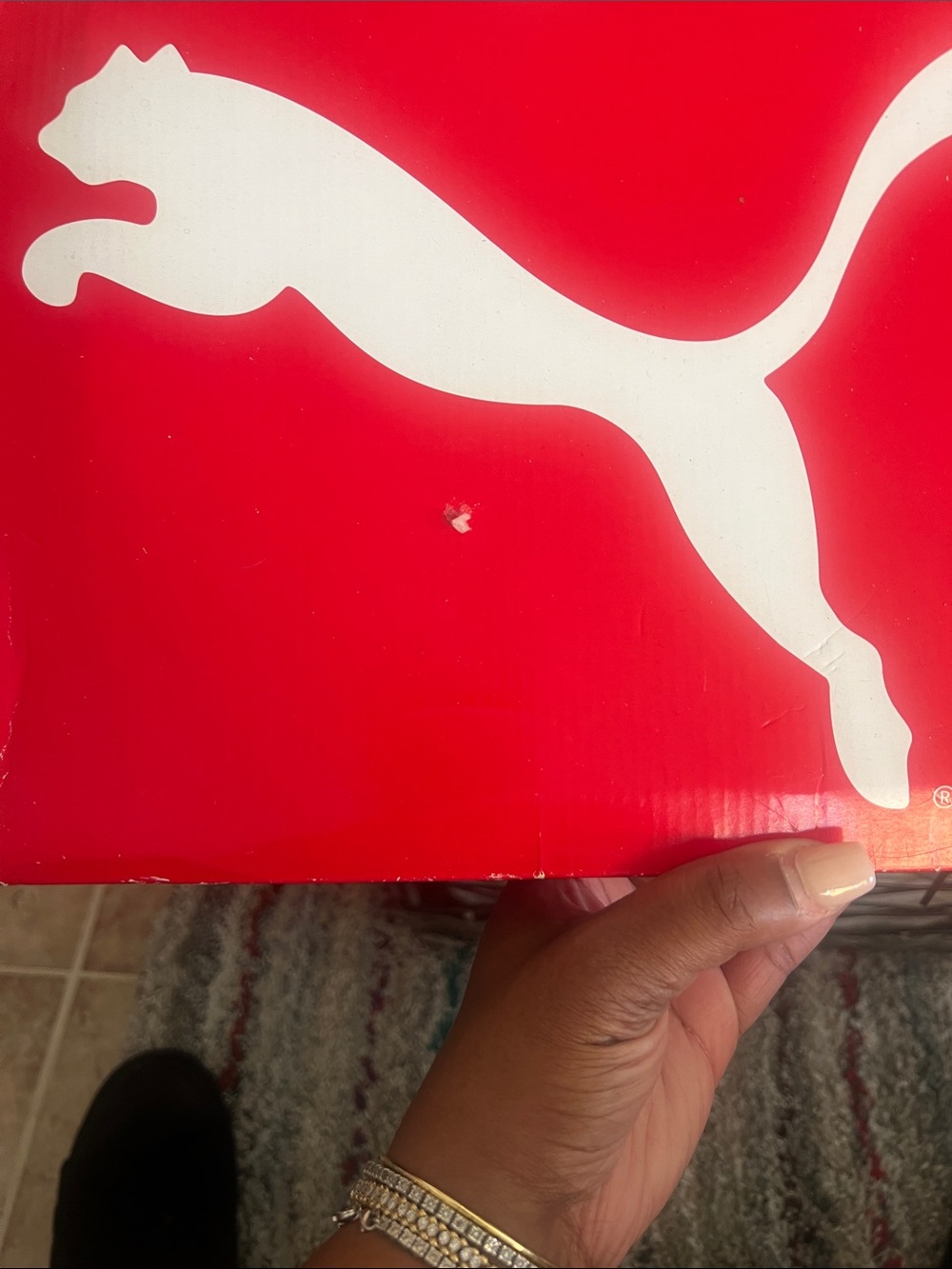 Puma Red Box with White Leaping Cat Logo